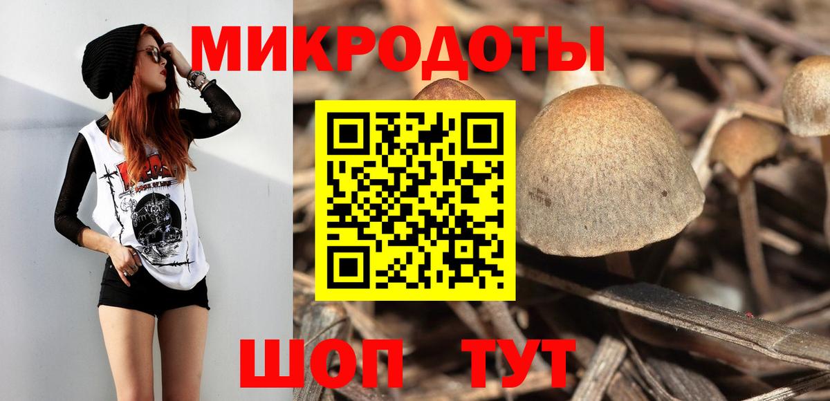 Галлюциногенные грибы Magic Shrooms Камышлов